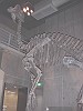 国立博物館