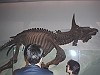 国立博物館