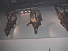 国立博物館