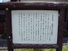 向島たぬきの解説