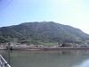 向島